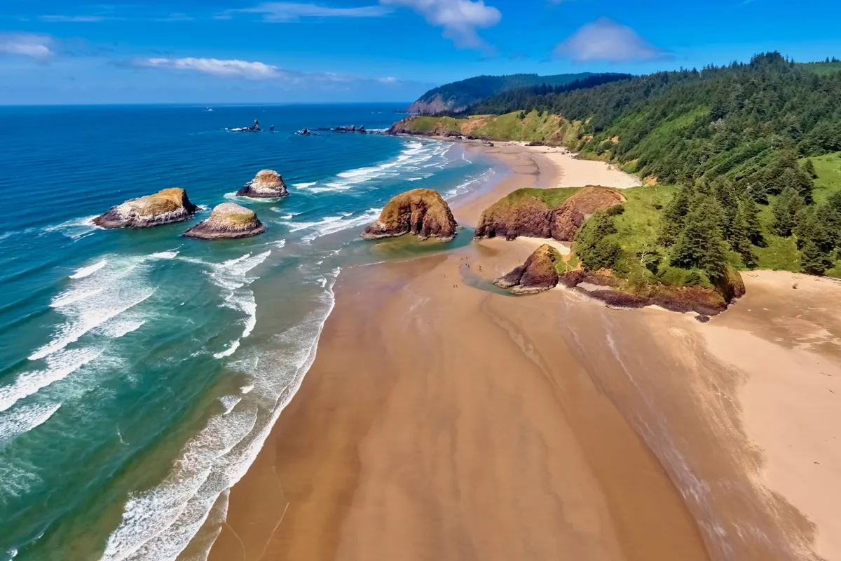 A wide view of the sandy beach with distinctive rock formations, rolling ocean waves, and a backdrop of lush green hills—ideal for walks, exploration, and play. The scene exudes tranquility and natural beauty, offering a strong sense of the outdoor environment accessible to guests and their pets.