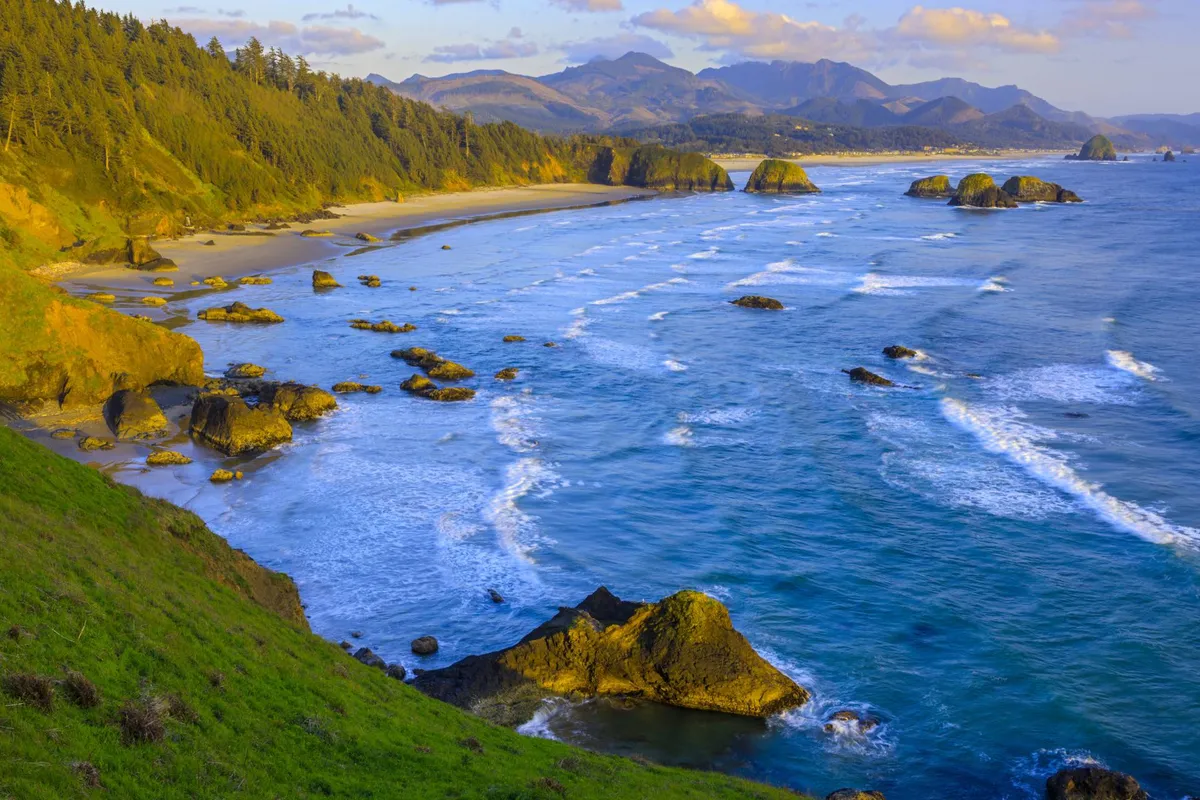 A sweeping view of ocean waves crashing against rock formations, with a sandy beach and a backdrop of lush trees. The scene highlights the rugged, natural beauty of the coastline and the proximity of outdoor adventures like beachcombing and wildlife watching.